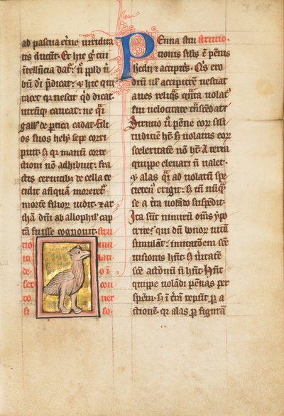 An Ostrich by Unbekannt Unbekannt